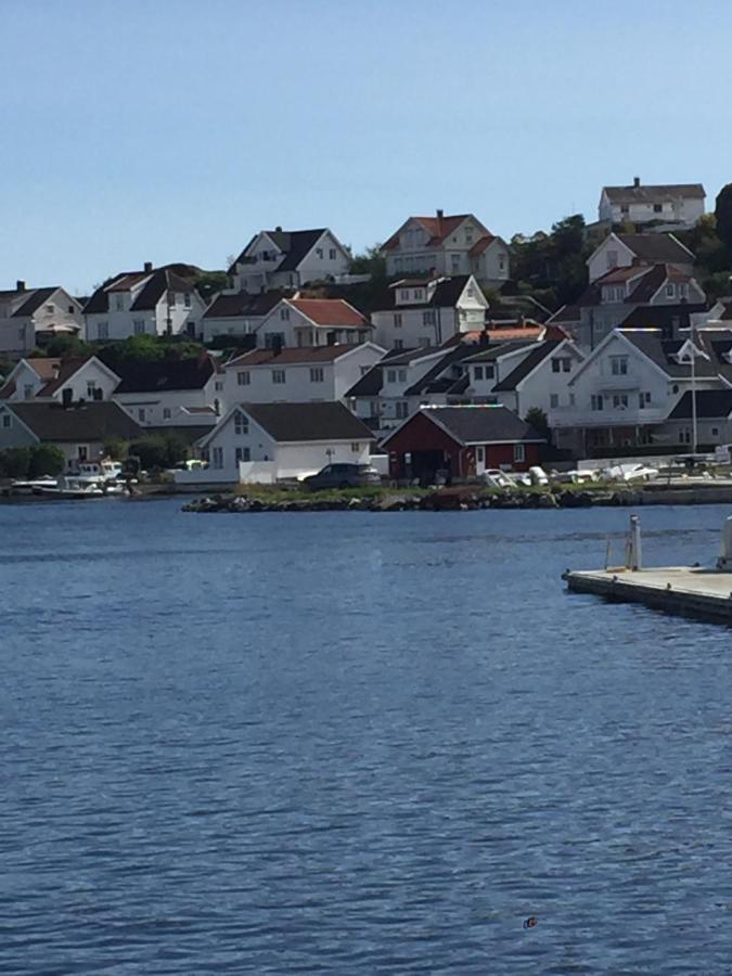 Kragero Hytte Havsutsikt Exteriér fotografie